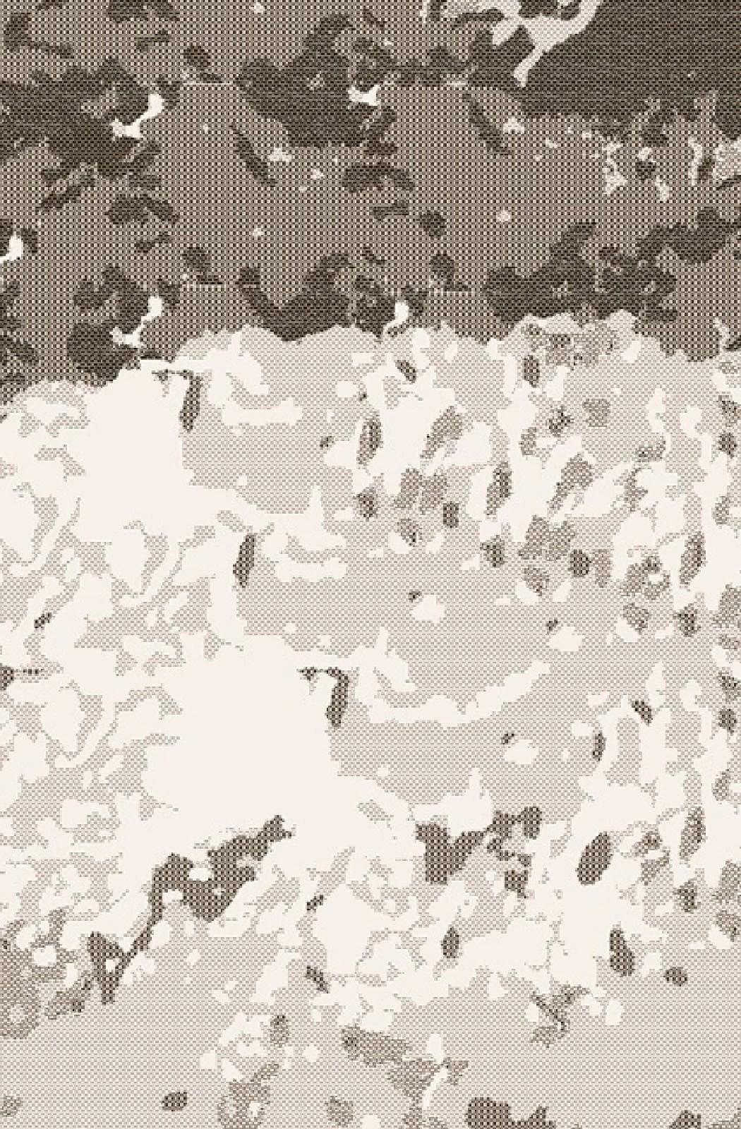 Дорожка БелКа Декора (Сизаль) 52310 50522 3м